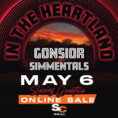 Online Sale 2026